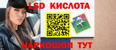 Альфа ПВП Ставрополь