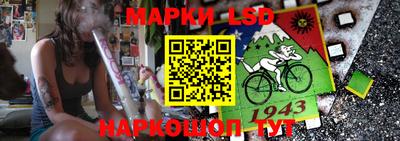 Альфа ПВП Ставрополь