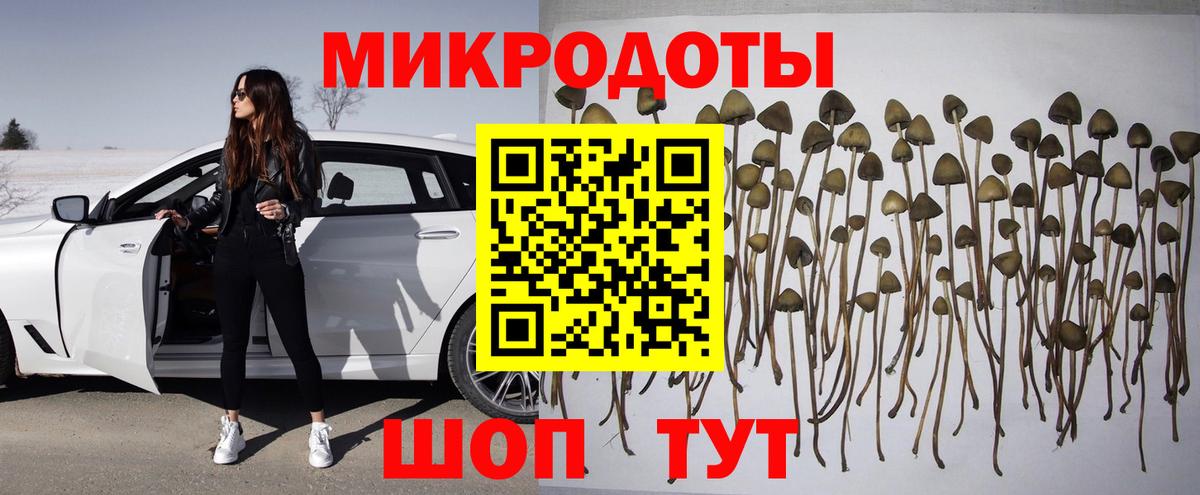 Галлюциногенные грибы прущие грибы Муравленко