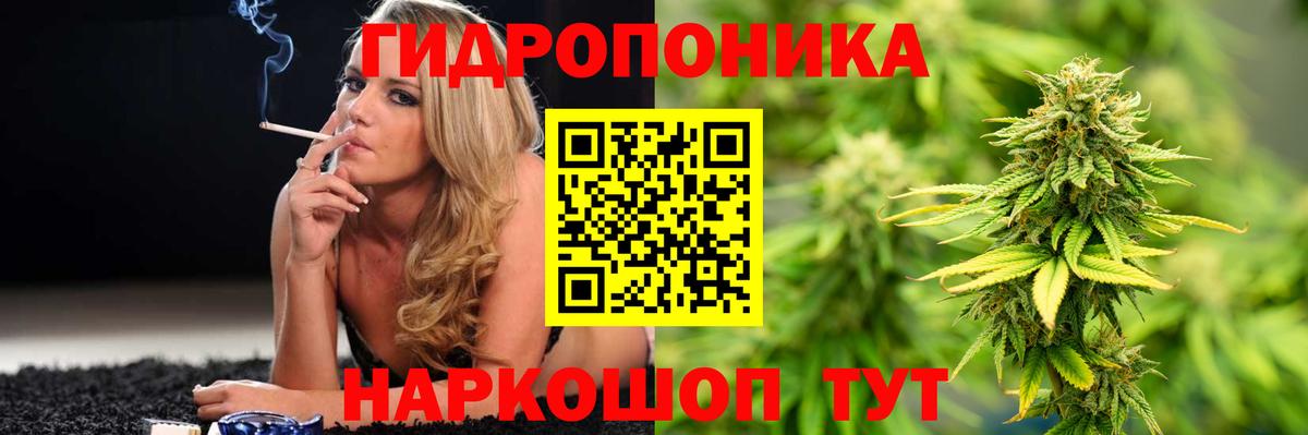 Шишки марихуана OG Kush Муравленко